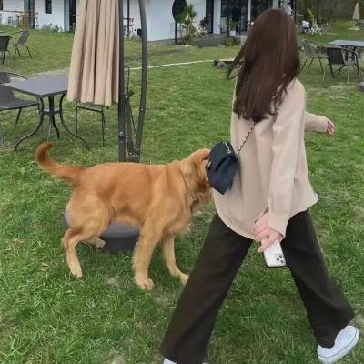 人渔公主